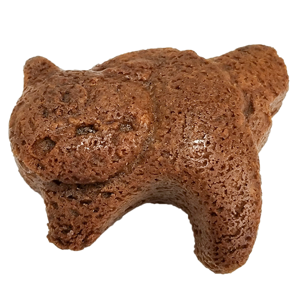 フィナンシェ ココア